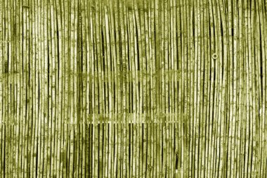 Sarı tonda yıpranmış bambu çit.