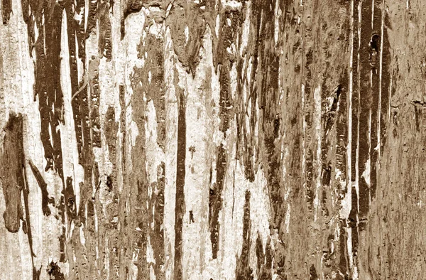 Viharzott festett fa fal barna hangon. — Stock Fotó