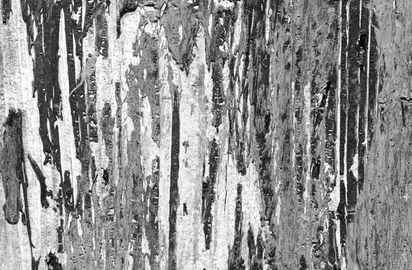 Weathered painted wooden wall in black and white. — Stock Photo, Image