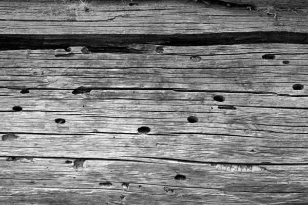Textura de parede de madeira em preto e branco . — Fotografia de Stock