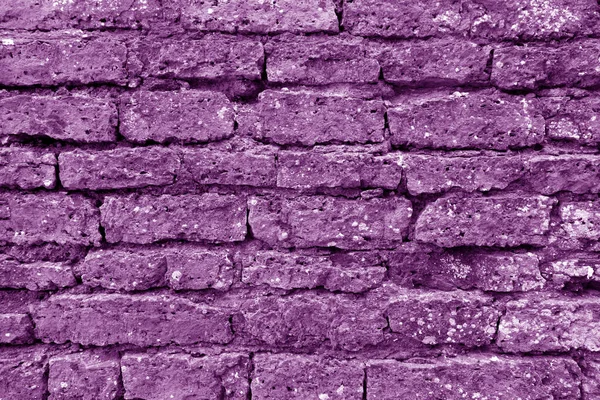 Textura de pared de ladrillo grueso viejo en tono púrpura . — Foto de Stock