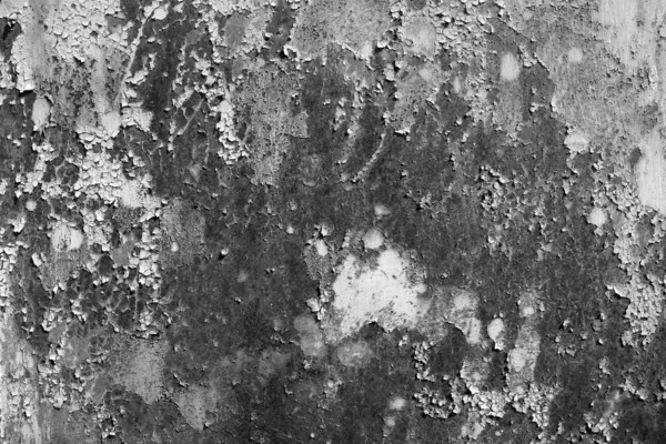 Grunziges rostiges Metall Wandoberfläche in schwarz und weiß. — Stockfoto