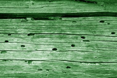 Tahta duvar dokusu yeşil renkte..