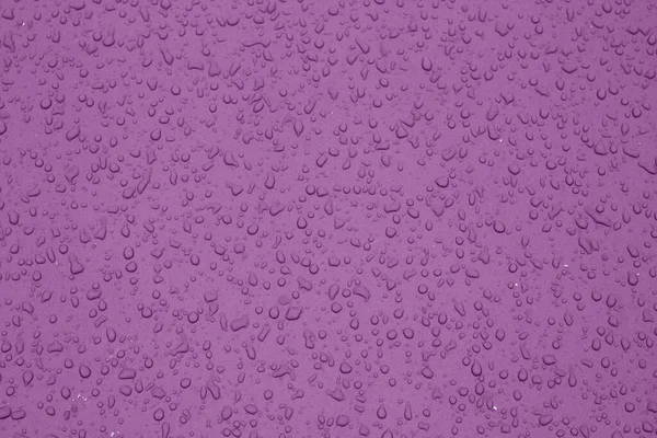 Water drops on car surface in purple tone.