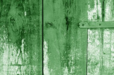 Çirkin ahşap döşemeler yeşil renkli arka plan.