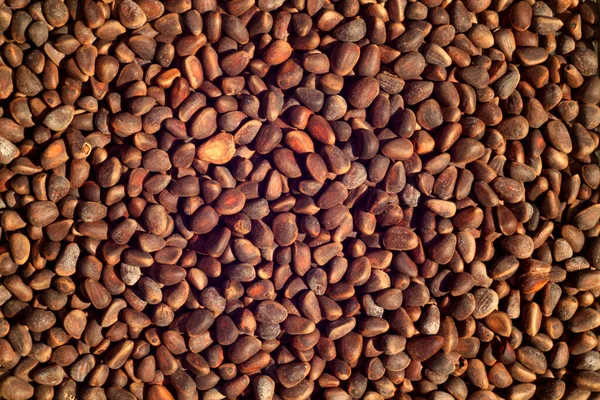 Bulanık Efektli Çam Fıstıkları Gıda Malzeme Arka Planı — Stok fotoğraf
