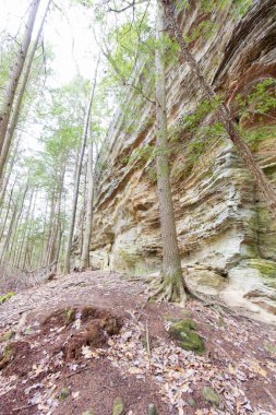 Fısıldayan Mağara, Hocking Hills Eyalet Parkı, Ohio