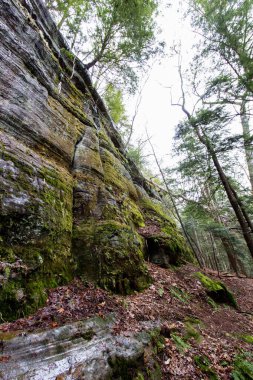 Fısıldayan Mağara, Hocking Hills Eyalet Parkı, Ohio