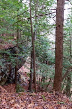 Fısıldayan Mağara, Hocking Hills Eyalet Parkı, Ohio