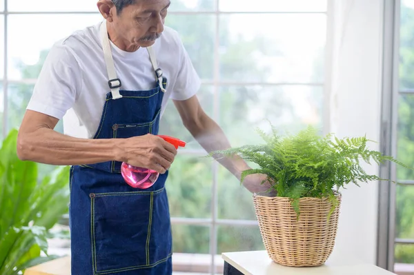 Pria Asia Senior Yang Bahagia Penyemprotan Dan Penyiraman Pohon Menikmati — Stok Foto