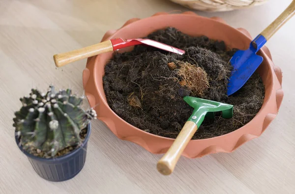 Pemandangan Atas Alat Alat Berkebun Lantai Kayu Hobi Dan Kesombongan — Stok Foto