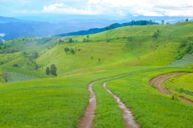Yağmur mevsiminde güzel yeşil dağ manzarası, tropikal iklim .
