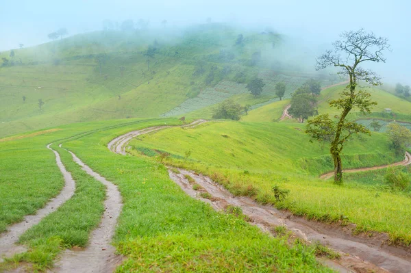 雨季の美しい緑の山の景色 熱帯気候 — ストック写真