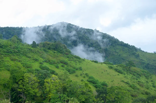 Piękny Zielony Widok Góry Porze Deszczowej Tropikalny Klimat — Zdjęcie stockowe