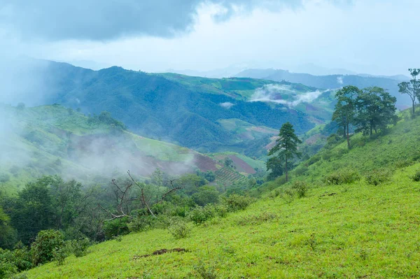 Bela Vista Verde Montanha Estação Chuvosa Clima Tropical — Fotografia de Stock