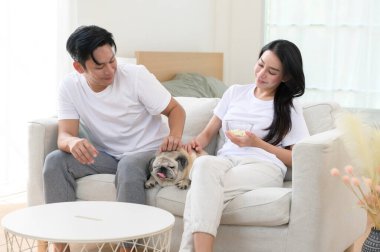 Neşeli bir çift kanepede birlikte oturur, güneşli bir yerde tatlı köpekleri ile atıştırmalıkları paylaşır..