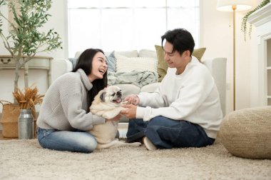 Sıcak, davetkar bir oturma odasında köpekleri ile oynarken birlikte gülen bir çift..