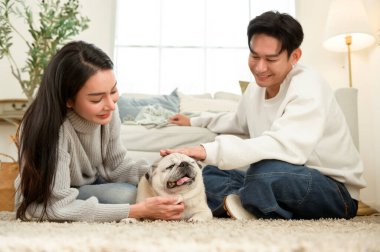 Sıcak, davetkar bir oturma odasında köpekleri ile oynarken birlikte gülen bir çift..