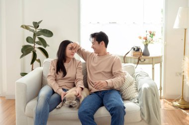 Köpekleri ile oynarlarken gülümseyen bir çift güzel ışıklandırılmış bir oturma odasında yumuşak bir halıda.