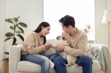 Köpekleri ile oynarlarken gülümseyen bir çift güzel ışıklandırılmış bir oturma odasında yumuşak bir halıda.