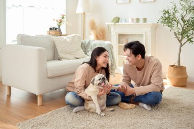 Köpekleri ile oynarlarken gülümseyen bir çift güzel ışıklandırılmış bir oturma odasında yumuşak bir halıda.