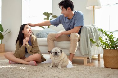 Köpekleri ile oynarlarken gülümseyen bir çift güzel ışıklandırılmış bir oturma odasında yumuşak bir halıda.