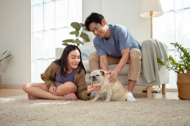 Köpekleri ile oynarlarken gülümseyen bir çift güzel ışıklandırılmış bir oturma odasında yumuşak bir halıda.