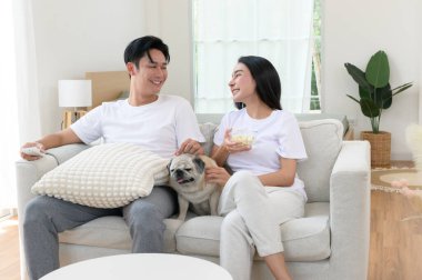 Neşeli bir çift kanepede birlikte oturur, güneşli bir yerde tatlı köpekleri ile atıştırmalıkları paylaşır..