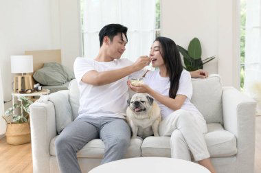 Neşeli bir çift kanepede birlikte oturur, güneşli bir yerde tatlı köpekleri ile atıştırmalıkları paylaşır..