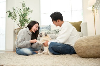 Sıcak, davetkar bir oturma odasında köpekleri ile oynarken birlikte gülen bir çift..
