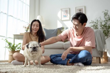 Köpekleri ile oynarlarken gülümseyen bir çift güzel ışıklandırılmış bir oturma odasında yumuşak bir halıda.