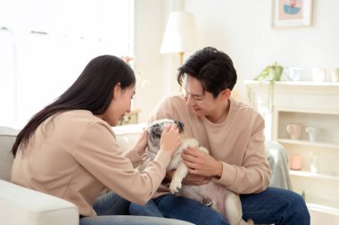 Köpekleri ile oynarlarken gülümseyen bir çift güzel ışıklandırılmış bir oturma odasında yumuşak bir halıda.