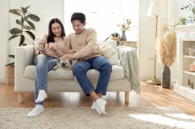 Köpekleri ile oynarlarken gülümseyen bir çift güzel ışıklandırılmış bir oturma odasında yumuşak bir halıda.