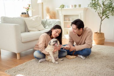 Köpekleri ile oynarlarken gülümseyen bir çift güzel ışıklandırılmış bir oturma odasında yumuşak bir halıda.