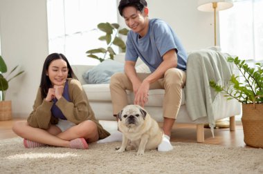 Köpekleri ile oynarlarken gülümseyen bir çift güzel ışıklandırılmış bir oturma odasında yumuşak bir halıda.