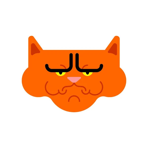 Mürrische Katze Isoliert Wütendes Haustier Vektor Illustratio — Stockvektor