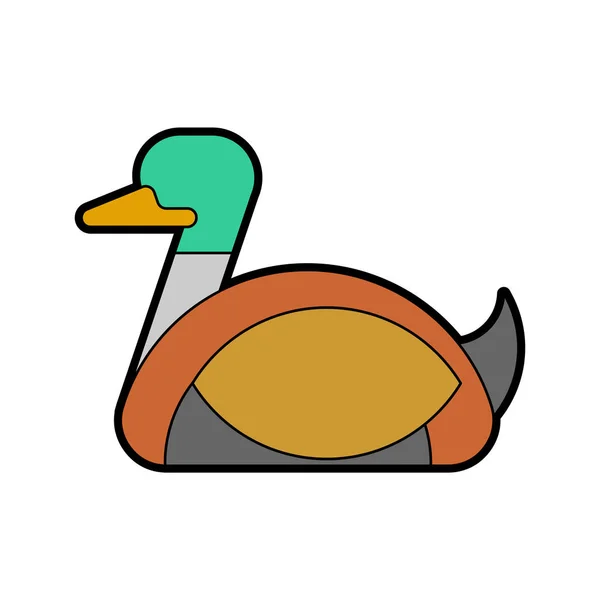 Drake duck male isolated. waterfowl bird Vector illustratio