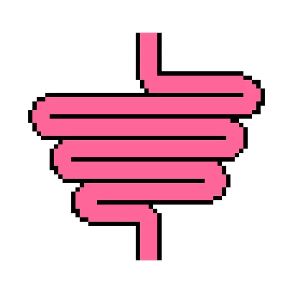 肠道像素艺术 人类肠道8位 消化道 矢量图案 — 图库矢量图片