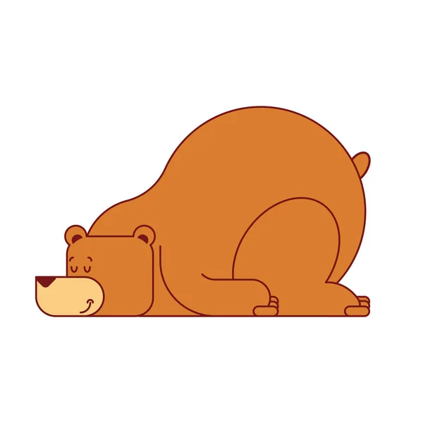 Sueño Del Oso Aislado Bestia Salvaje Duerme Ilustración Del Vector — Archivo Imágenes Vectoriales