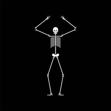 İskelet dans izole. Kafatası ve kemik dansları. Vektör çizim