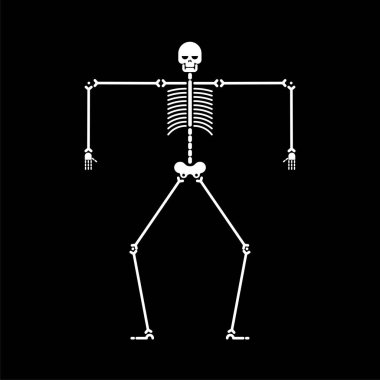 İskelet dans izole. Kafatası ve kemik dansları. Vektör çizim