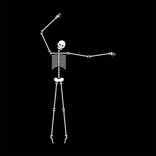 Skeleton Dance Geïsoleerd Schedel Botten Dansen Vectorillustratie — Stockvector