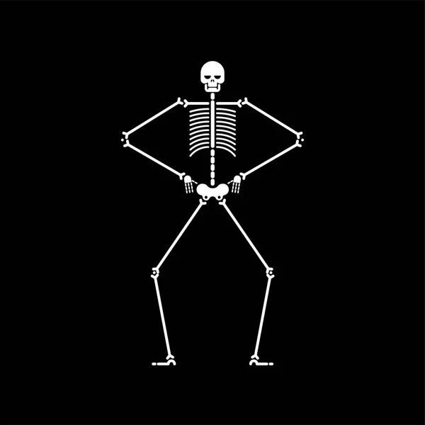 Skeleton Dance Isolated Skull Bone Dances Vector Illustration — Stock Vector