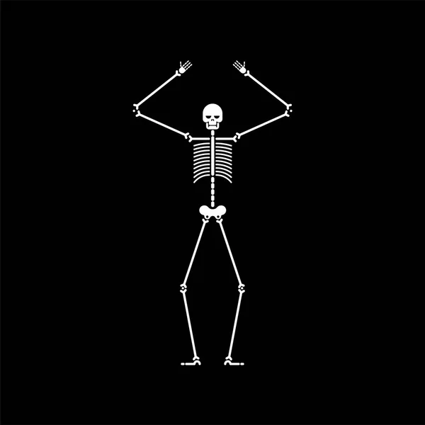 Skeleton Dance Geïsoleerd Schedel Botten Dansen Vectorillustratie — Stockvector