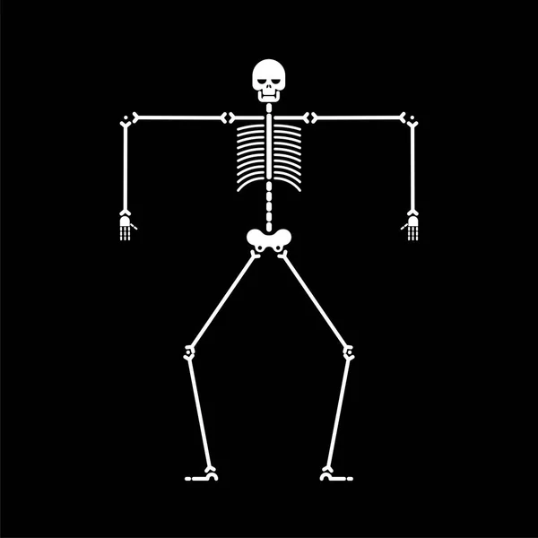 骨骼舞蹈隔离 头骨和骨骼舞蹈 矢量插图 — 图库矢量图片
