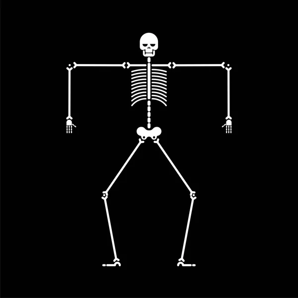 Skeletttanz Isoliert Totenkopf Und Knochen Tanzen Vektorillustration — Stockvektor