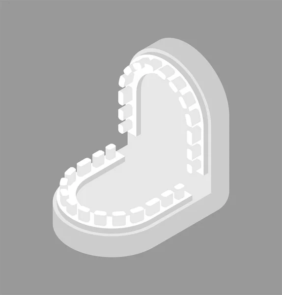Gipskiefer Für Zahnarzt Isoliert Zähne Zusammenbeißen Zahnarztbehandlung Zahnmedizin Vektor Illustration — Stockvektor
