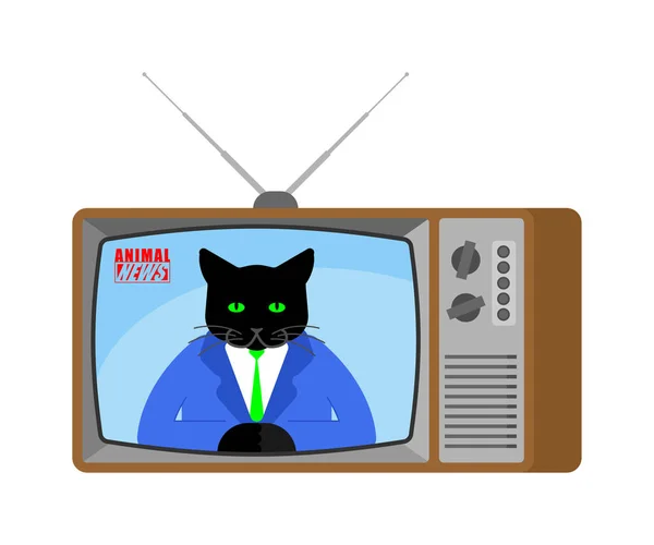 Actualité Animale Vieille Télé Pet Live Diffusion Journaliste Émission Chat — Image vectorielle