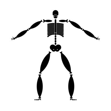 Şişman iskelet. Geniş kemik. Şişman adam anatomisi vektör Illustratio