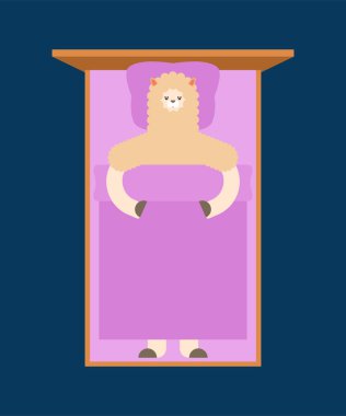 Lama yatakta uyuyor. Lama sevimli hayvan alpaka. karikatür vektör